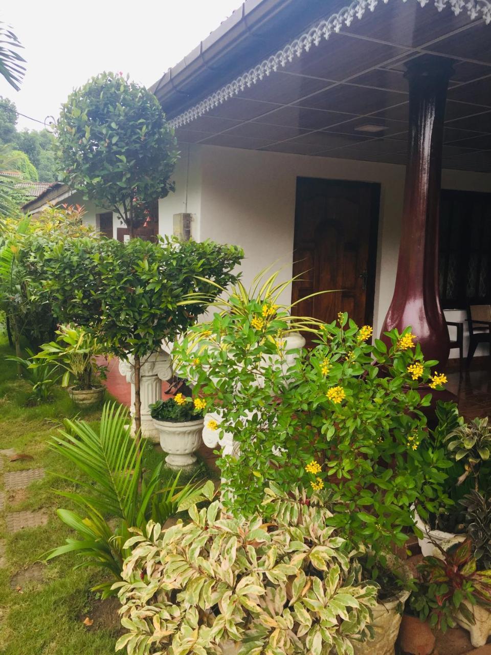 Malee Homestay Polonnaruwa Εξωτερικό φωτογραφία